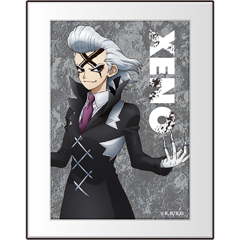 公式オンラインストアDr.STONE ブロマイド風アクリルフレーム