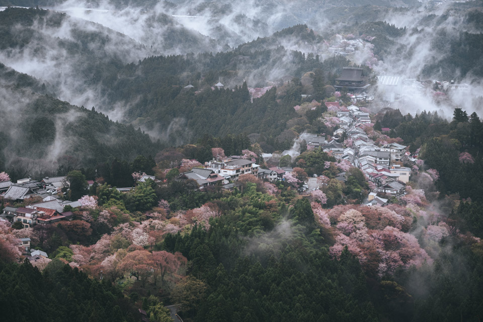 Z6IIIが写す表現の進化～Nikon Creatorsが描く『自分らしさ』～」株式