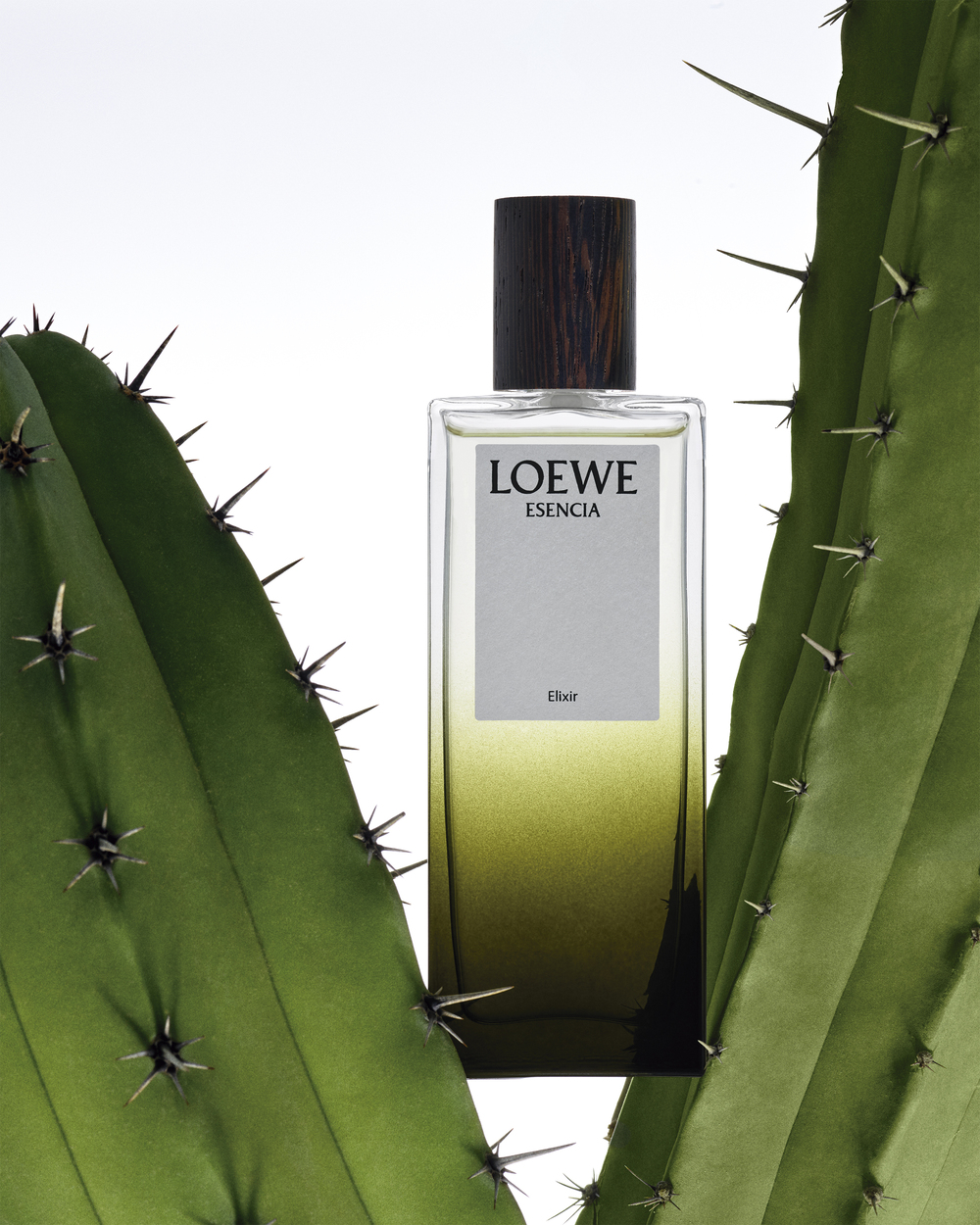 ロエベ フレグランスの新たなカテゴリーとして生まれた、LOEWE Elixirs