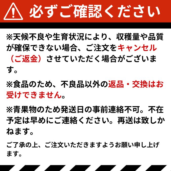 フルーツ :: 【先行予約／送料無料】山形県産 佐藤錦 さくらんぼ 特秀