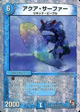 アクアサーファー ベストチャレンジャー 希少 アクアサーファー ベスト