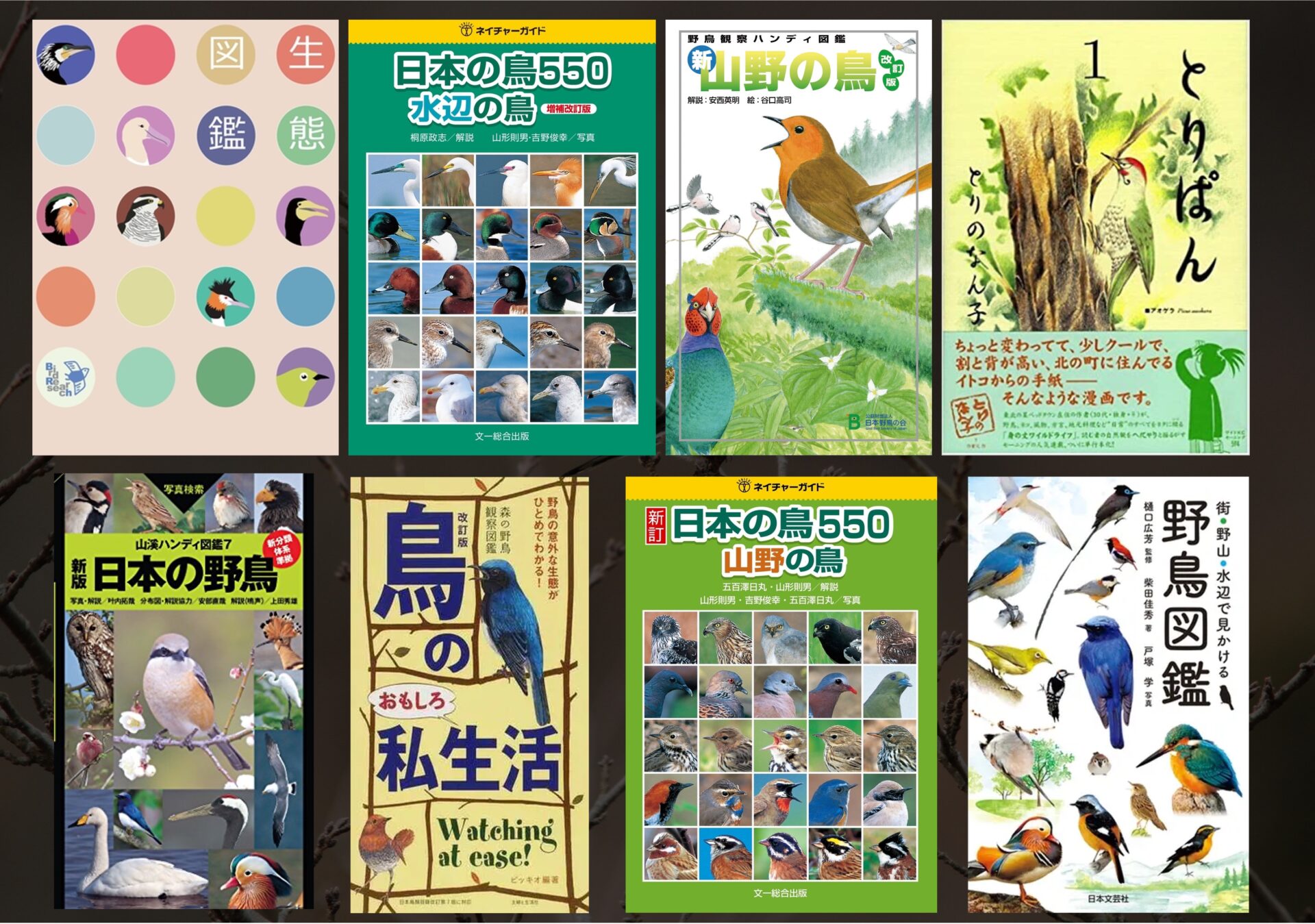 プロ・研究者が教える】初学者から中級者向けのオススメの野鳥図鑑