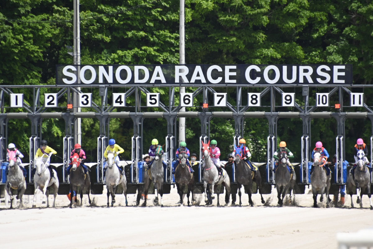 芦毛馬限定レース「芦毛だよ！全員集合♪」が園田競馬で開催 11頭