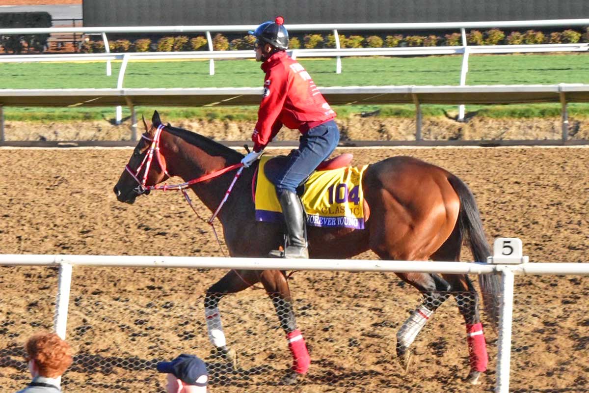 BCクラシック】〝15億円を稼いだ馬〟フォーエバーヤングは順調「完成に