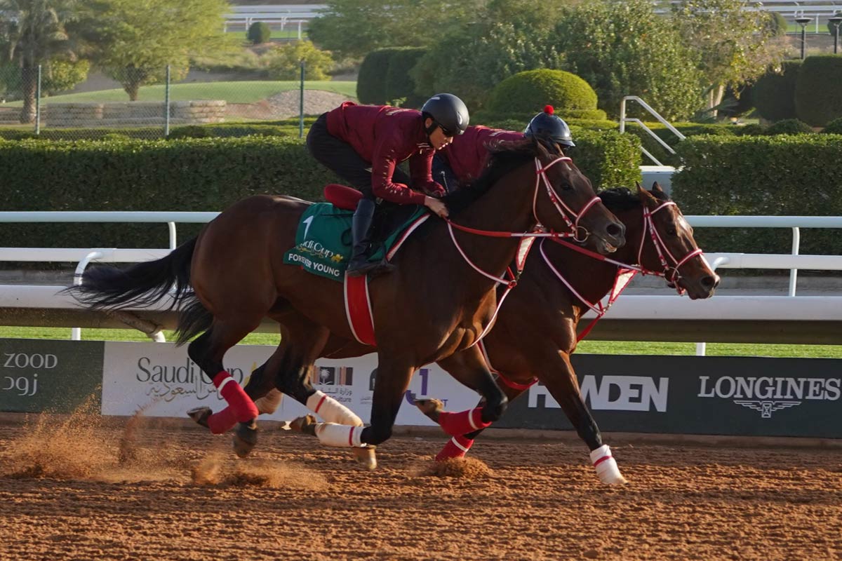 サウジC追い切り】フォーエバーヤングは坂井瑠星を背に余裕の併入