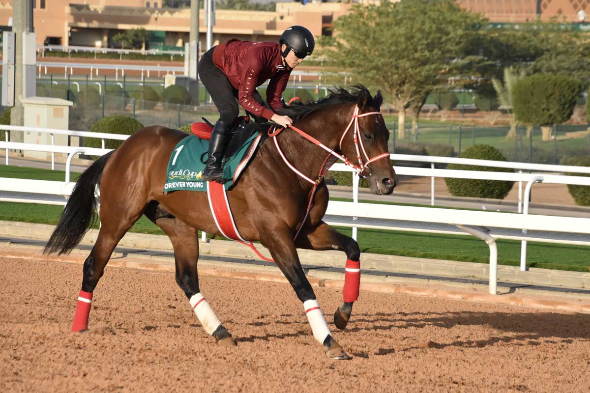 JRAのGⅠも勝ちたい」フォーエバーヤングの感動をより〝実感〟するため