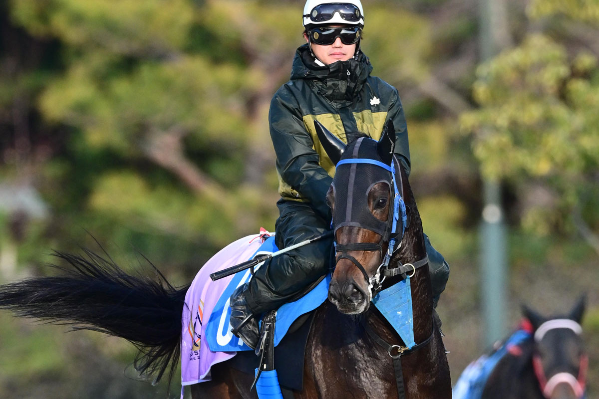 10番人気のショウナンラフィネが逃げ切り勝ち 鮫島駿「折り合いも