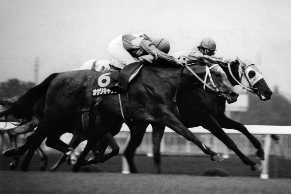 オグリキャップ 1989年有馬記念G1 単勝馬券 1万円 【公式通販】