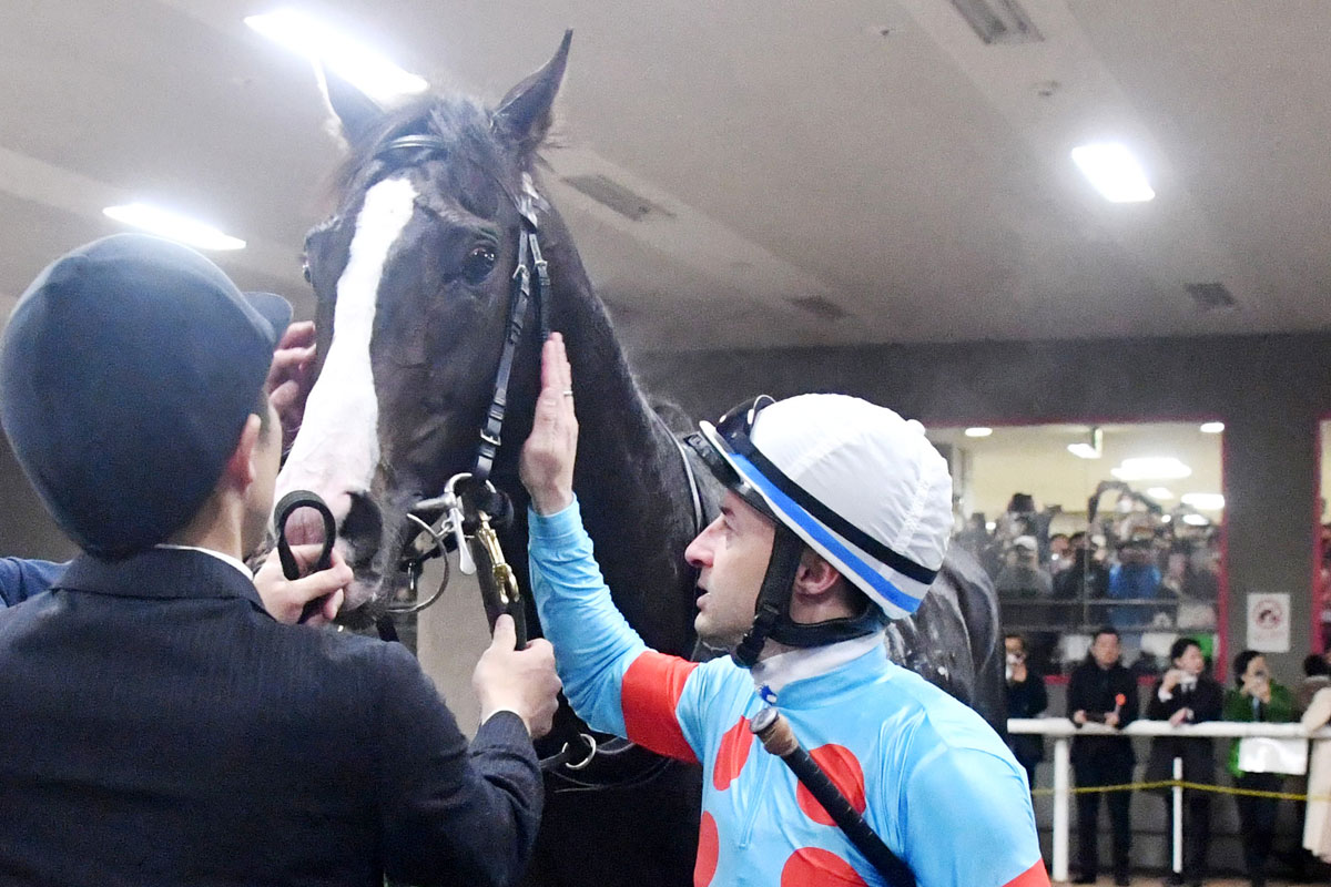 ジャパンカップ】イクイノックス史上初の22億円ホースに！「ポニー