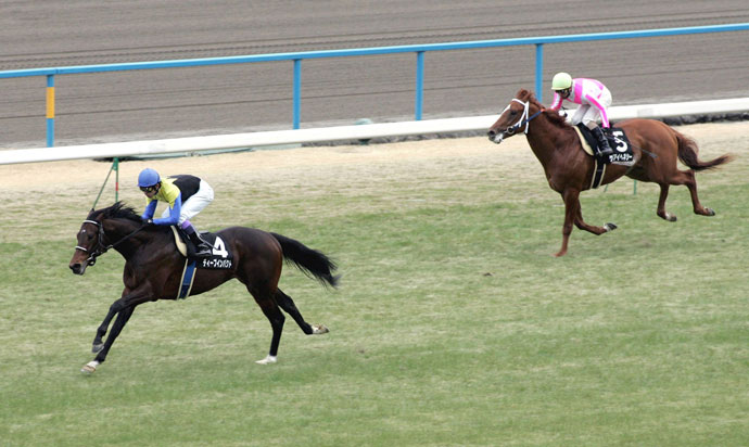 ディープインパクト全記録【3】場内がどよめいた若駒ステークス