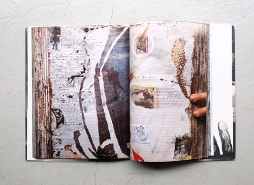 古書古本 Totodo：Peter Beard: Diary（ピーター・ビアード,リブロポート）