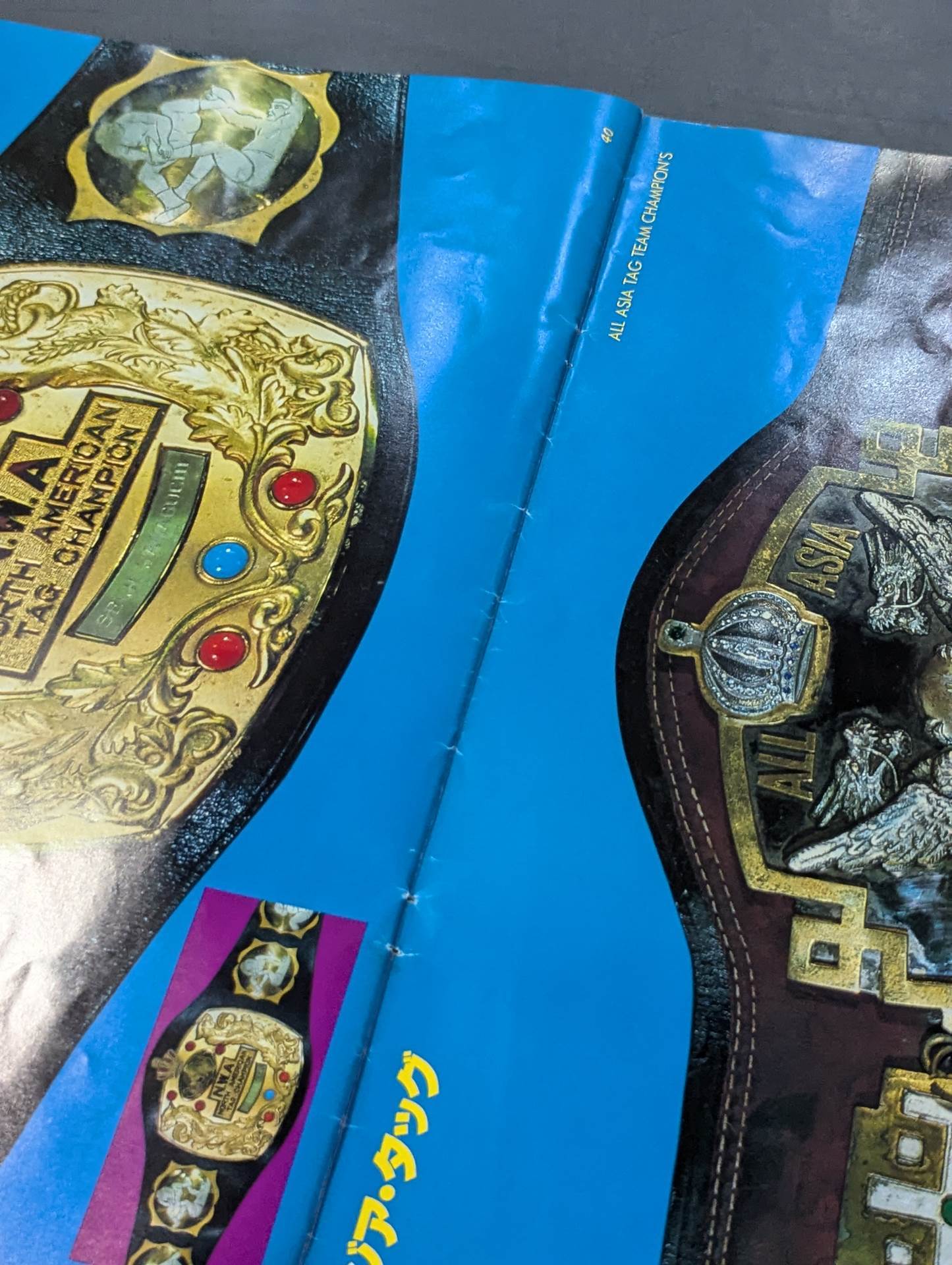 ☆実物大☆ 栄光の輝き プロレスチャンピオンベルト – 闘道館