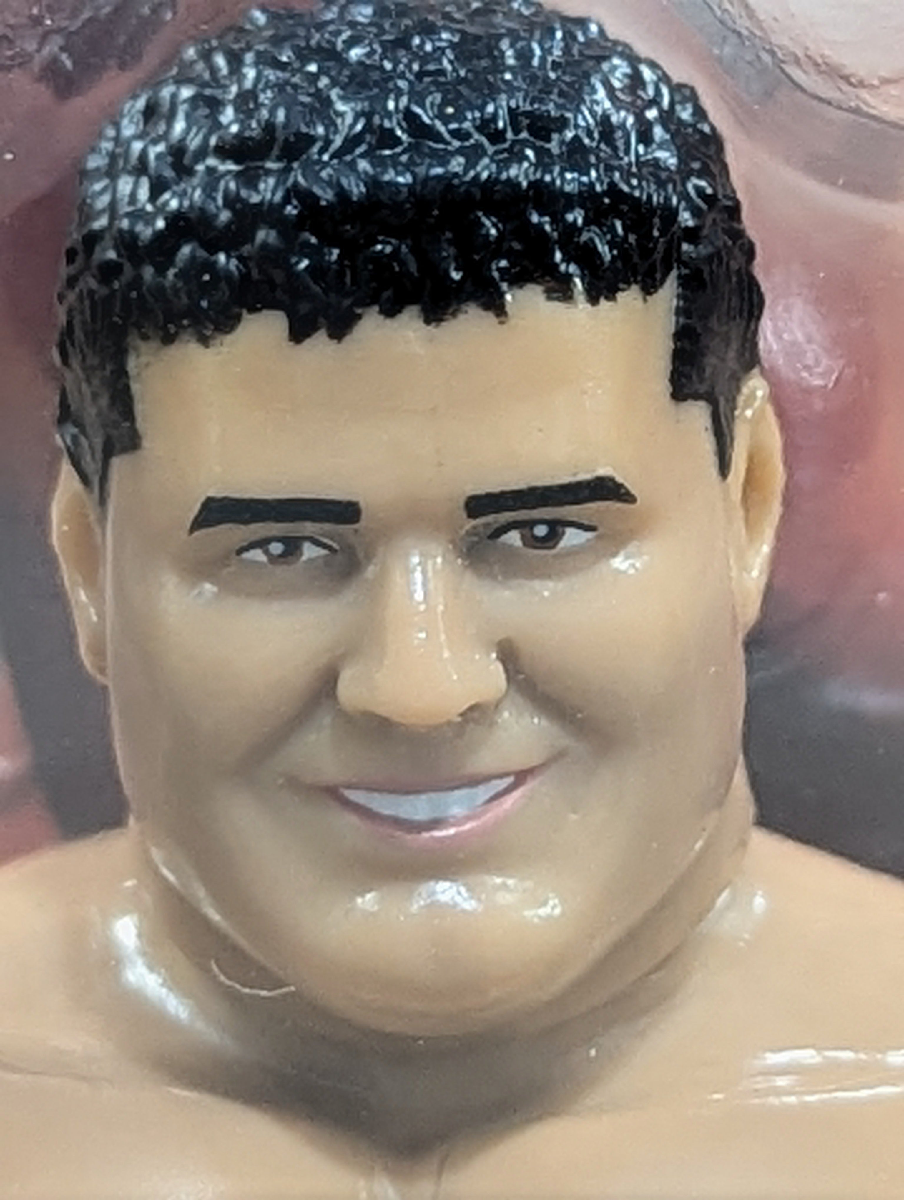 ブリティッシュ・ブルドッグス (Wrestling Megastars) – 闘道館