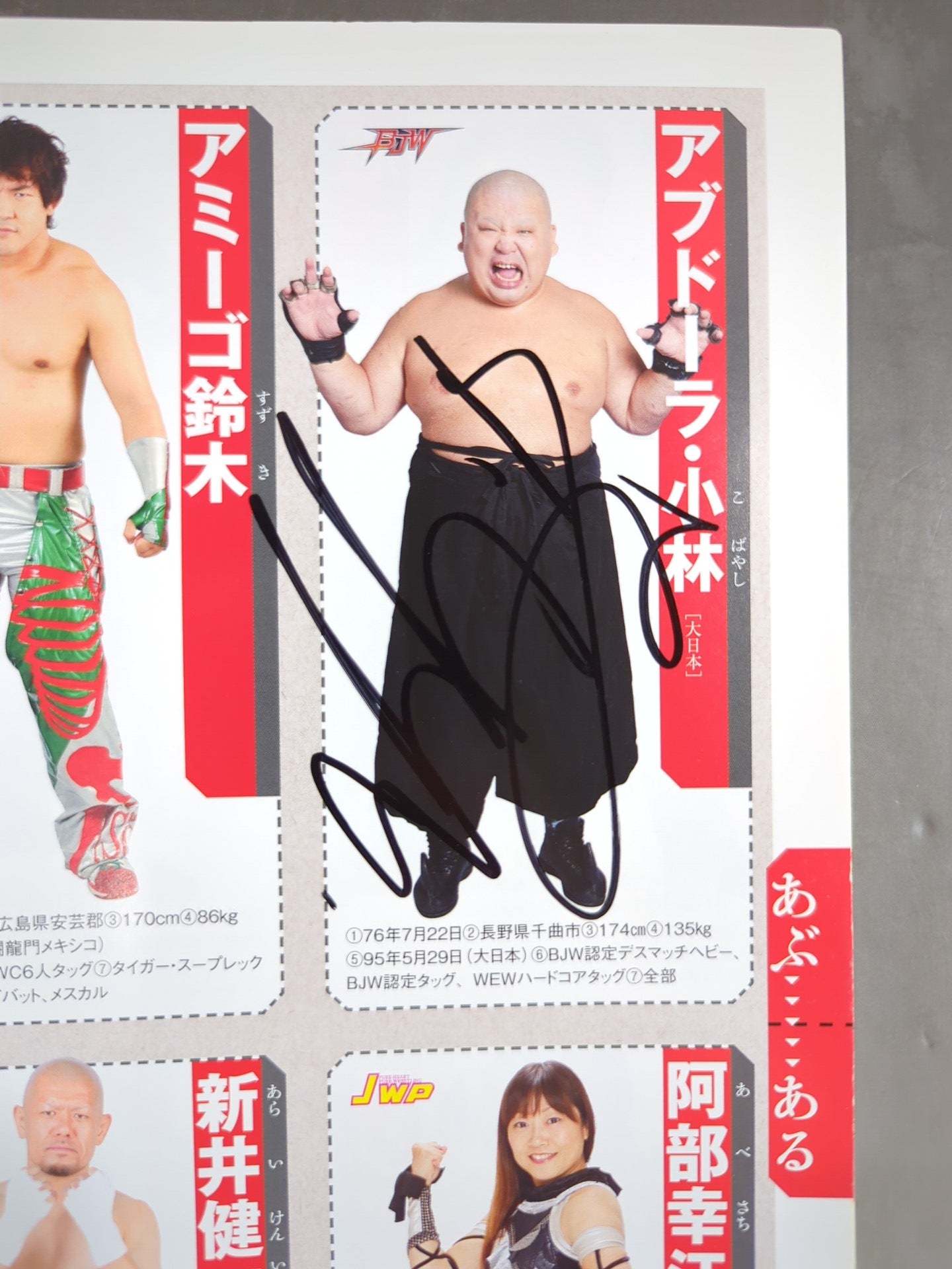 35名直筆サイン入り】週刊プロレス別冊108「2014 保存版プロレスラー