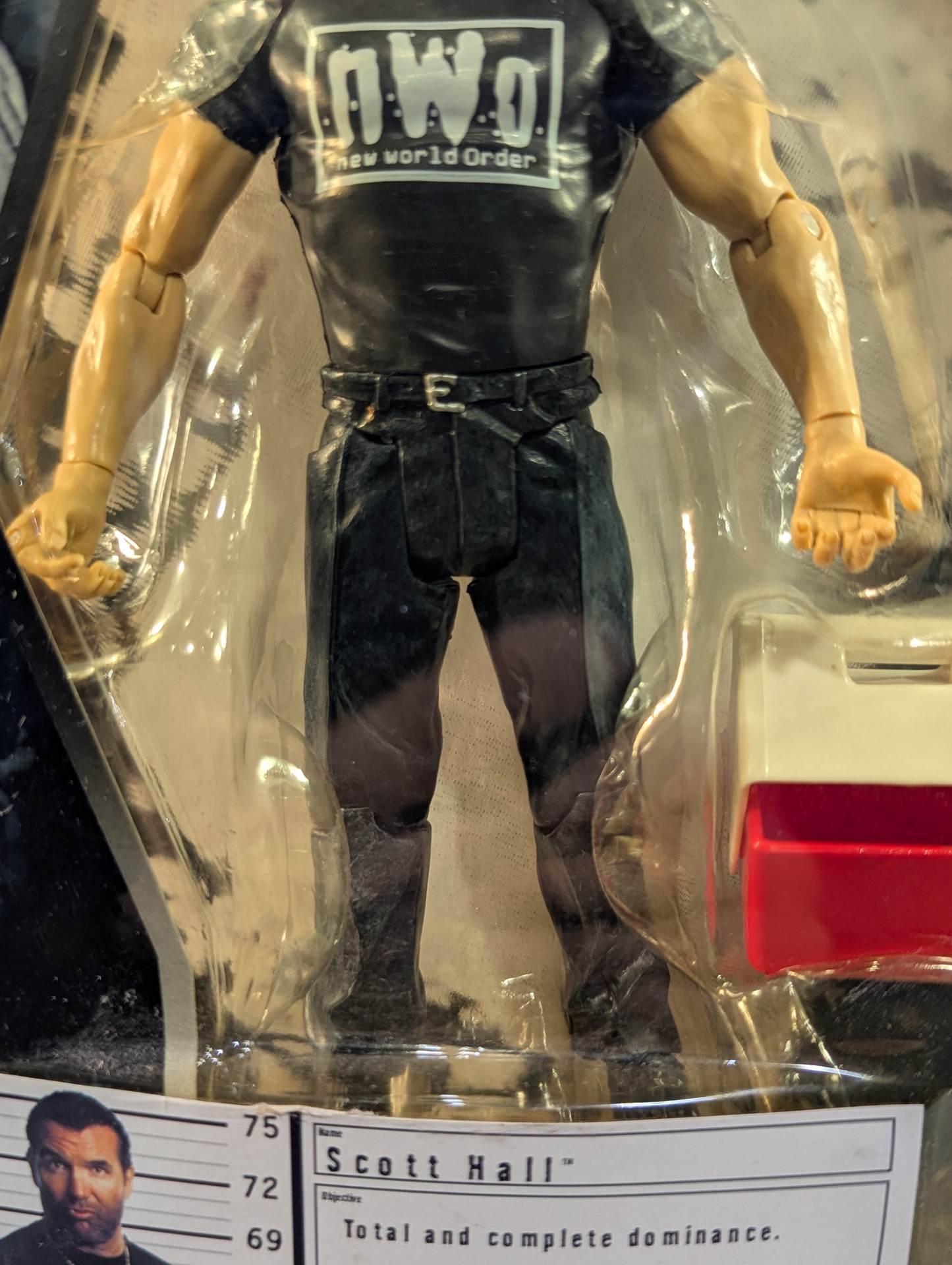 ☆nWo BACKBAD☆スコット・ホール(ボックス) – 闘道館