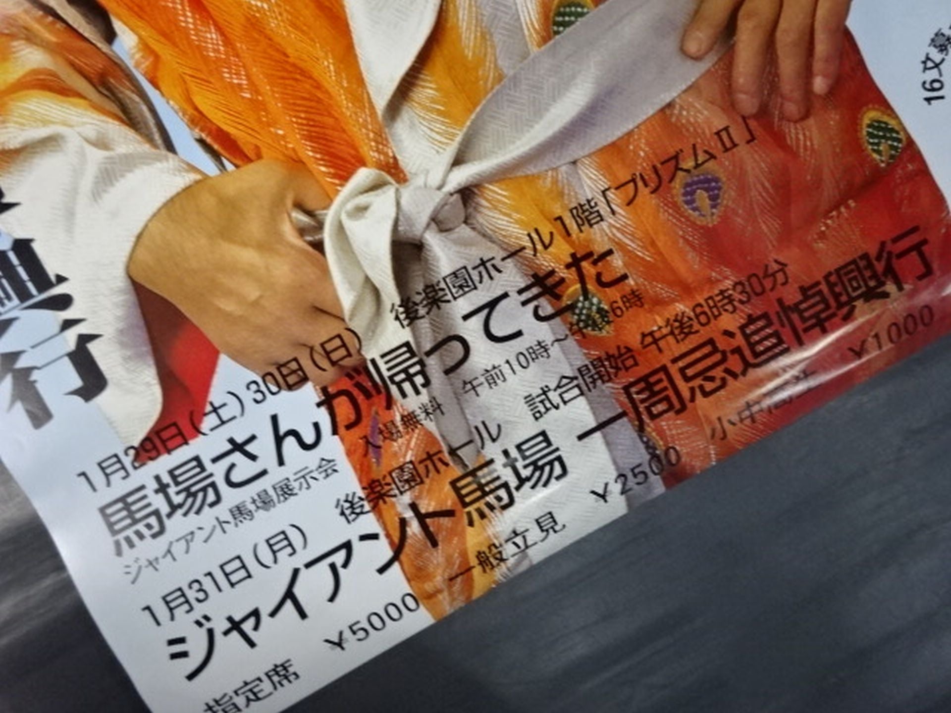 ☆馬場さんが帰ってきた☆ ジャイアント馬場一周忌追悼興行 – 闘道館