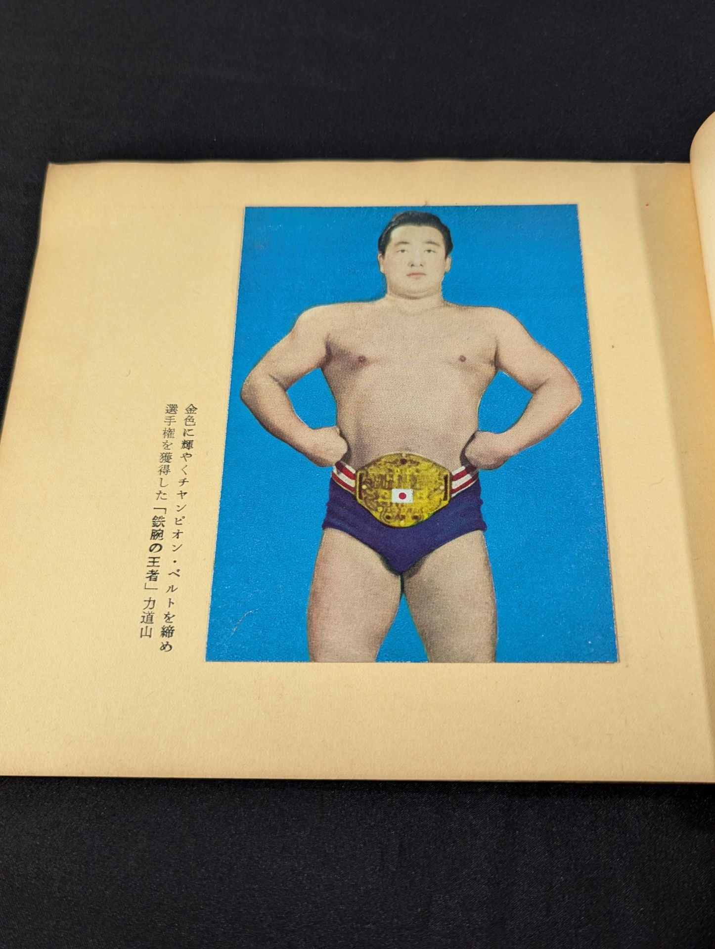 力道山アルバム プロレスの王者 – 闘道館