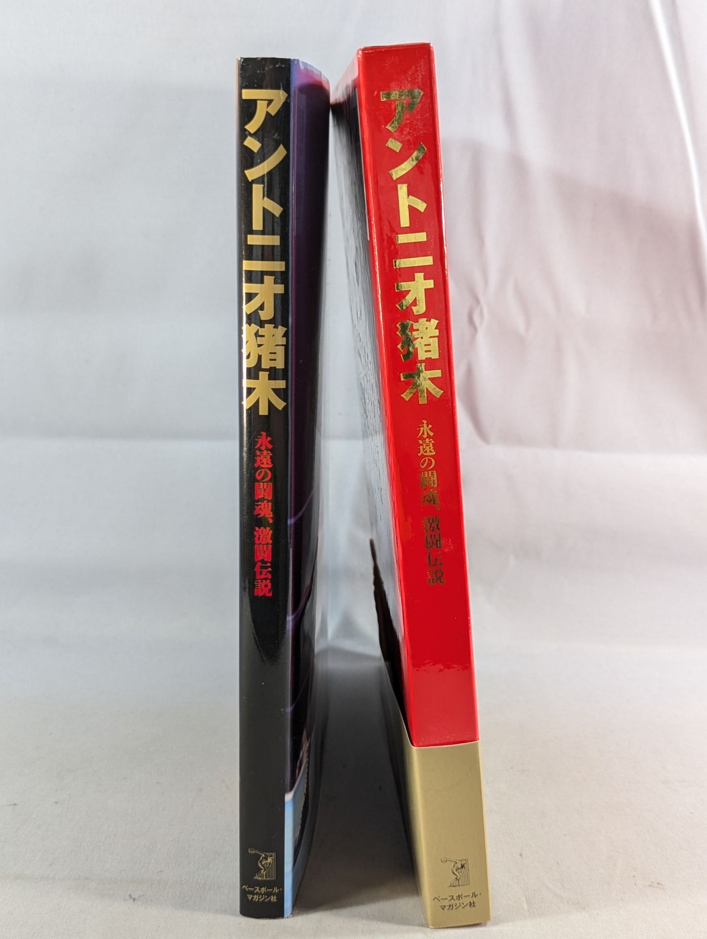 アントニオ猪木 永遠の闘魂、激闘伝説 – 闘道館