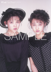 Wink、デビュー30周年企画第4弾となる映像作品『Wink Performance