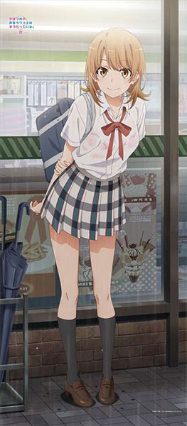 俺ガイル】描き下ろし BIGタペストリー 雨宿り『雪乃』『結衣