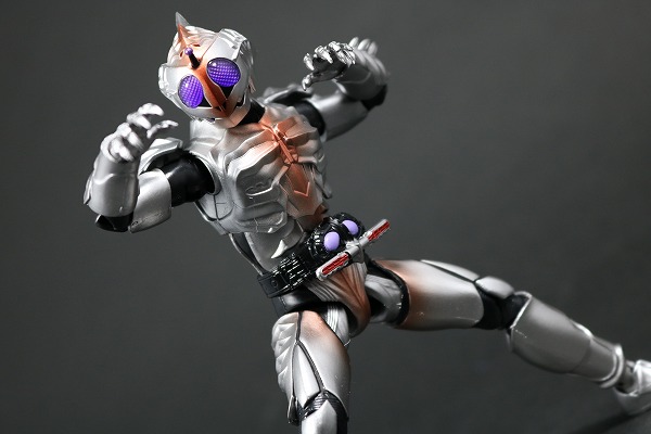 S.H.フィギュアーツ 仮面ライダーアマゾンシグマ レビュー | トイハコ