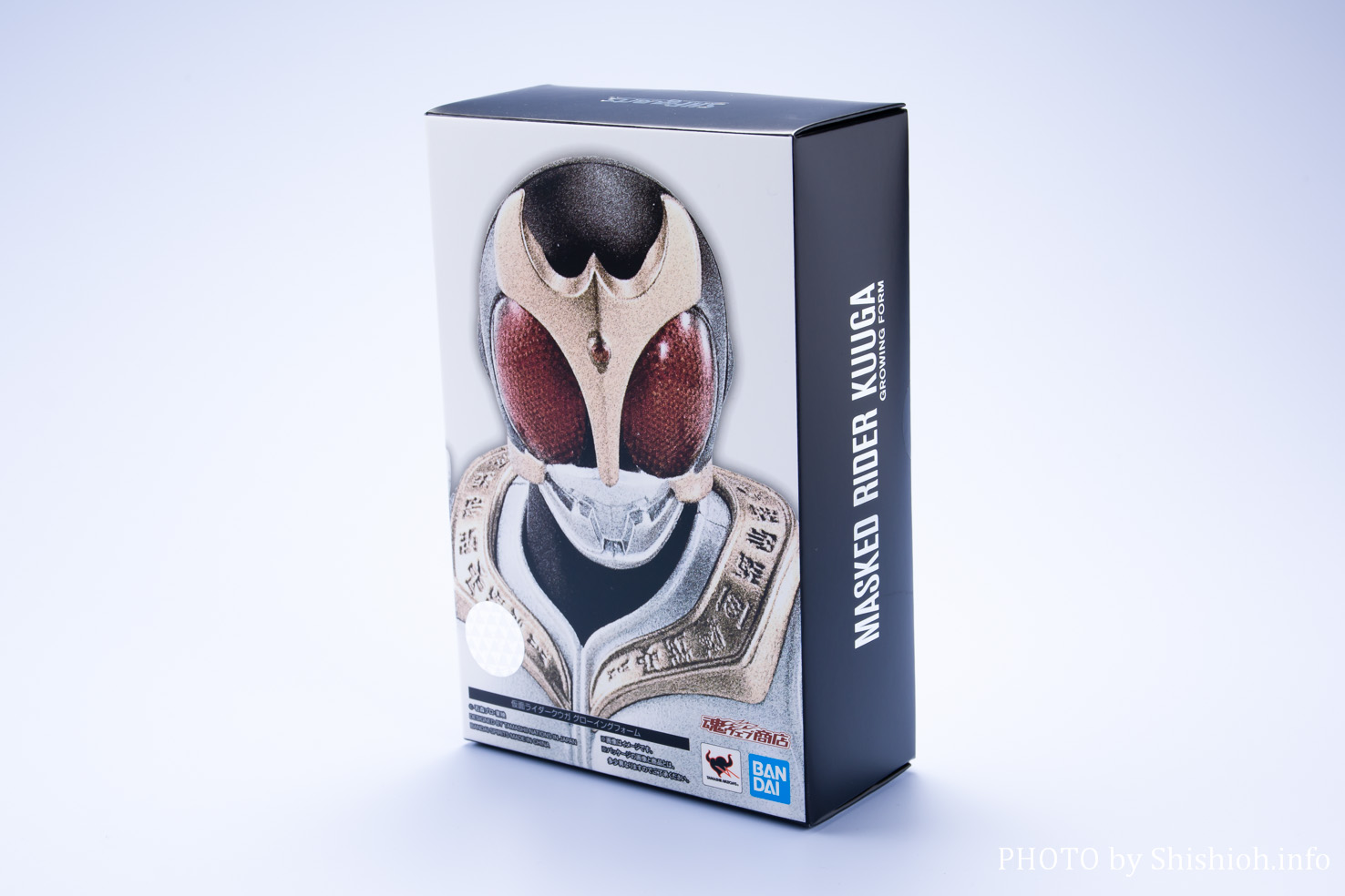 レビュー】 S.H.Figuarts（真骨彫製法） 仮面ライダークウガ