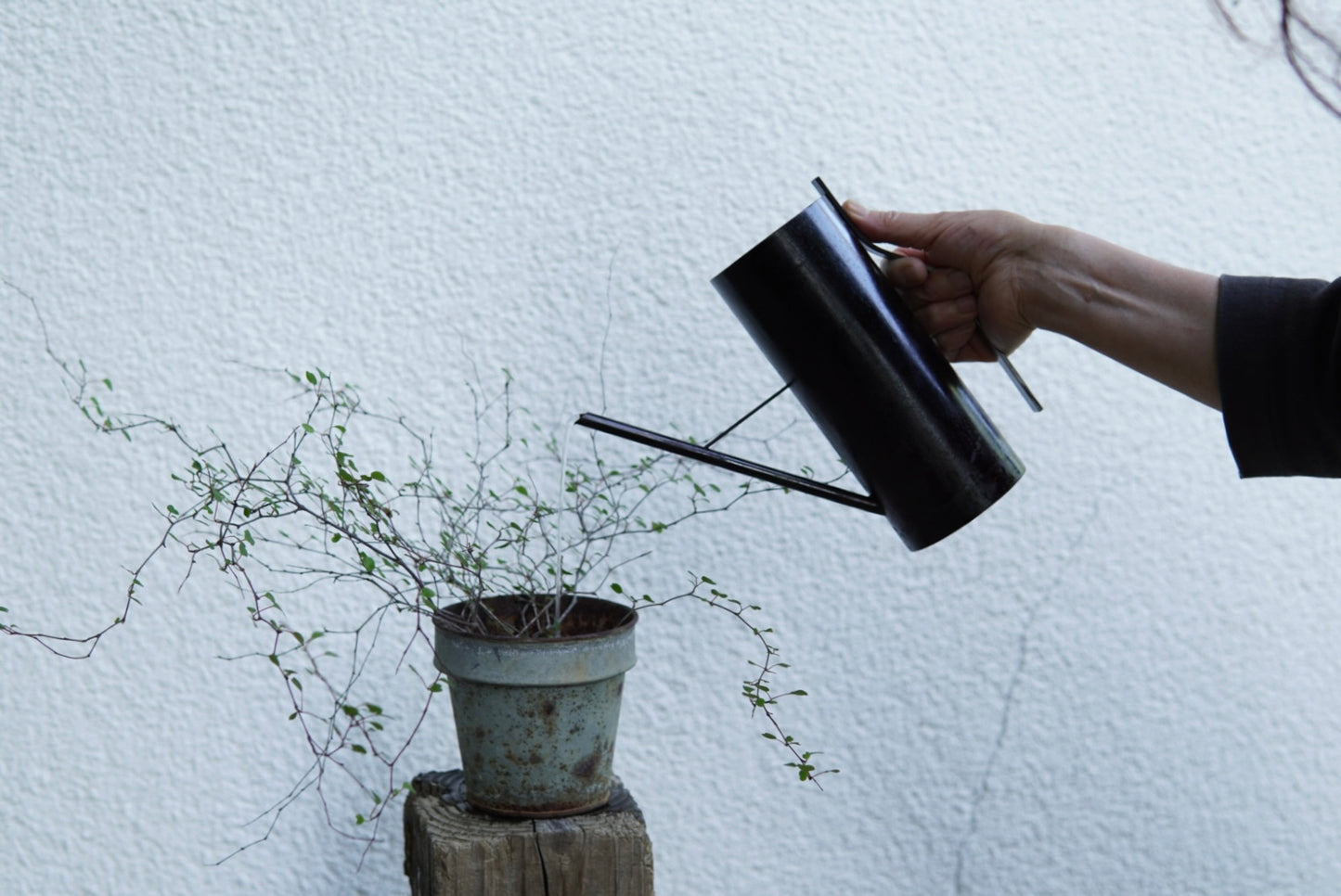 藍鉄色の水差し – 十てつ