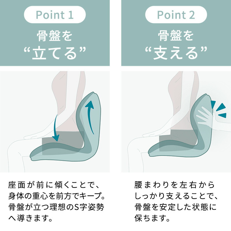 楽天市場】スタイルプレミアム デラックス Style PREMIUM DX ギフト