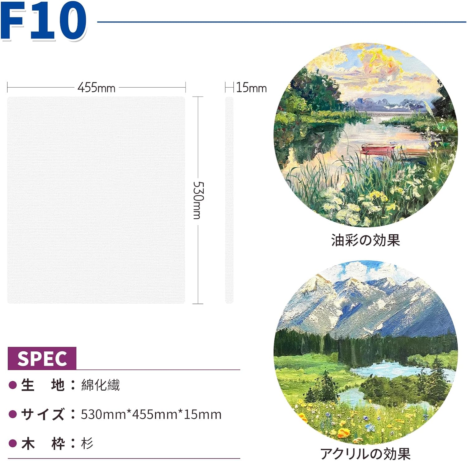 楽天市場】☆張りキャンバス キャンバスボード F8 F10 F12 F20 F25 F30