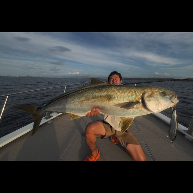楽天市場】モンスターキス ディアモンスター MX-8+ : アングラーズ