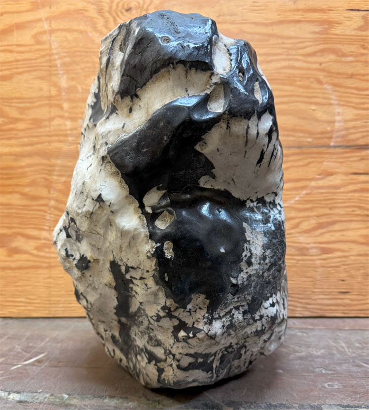 楽天市場】菊花石 【52】高さ約32cm 幅約22cm 送料無料 鑑賞石 景石