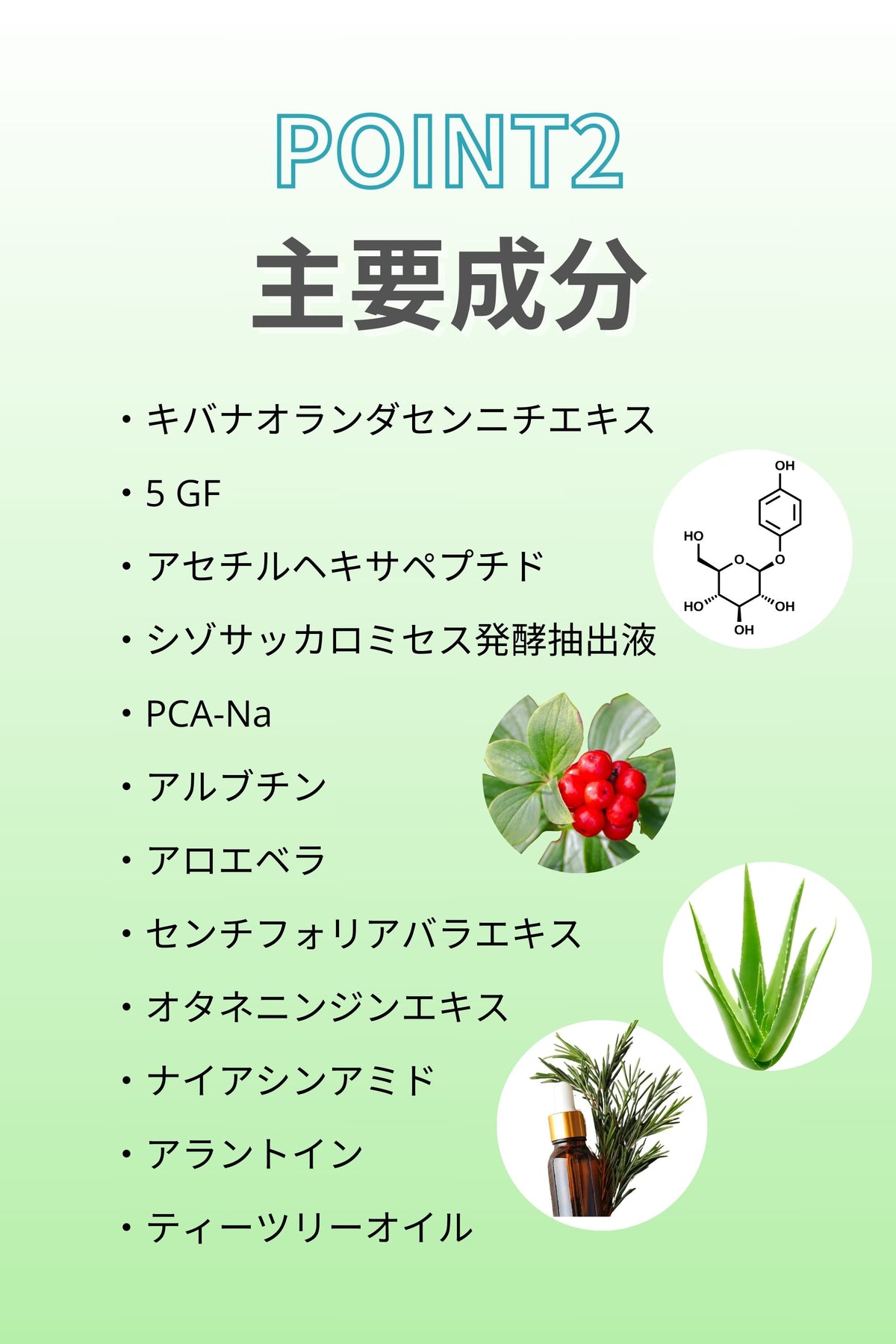 楽天市場】【正規品販売店】DM CELL B.T.X.エッセンジット5% 100ml BTX