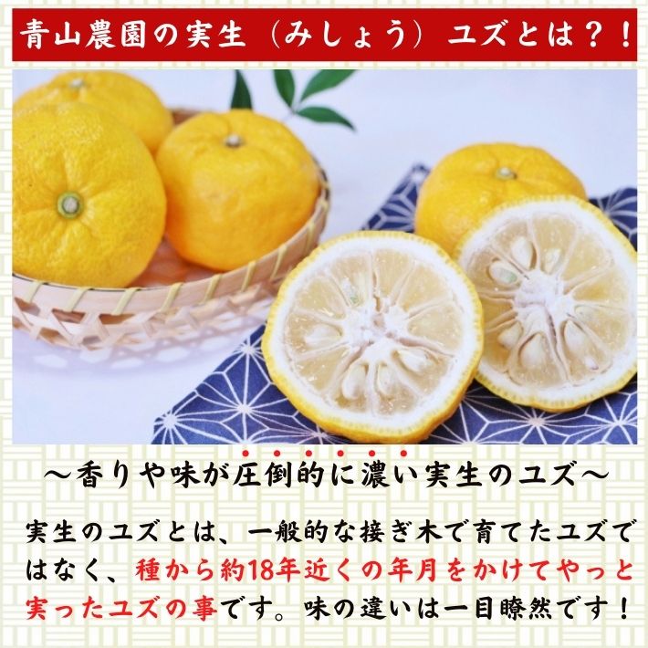 楽天市場】農薬を使用しない 実生 ゆず 有機栽培 無農薬 柚子 (1kg 2kg