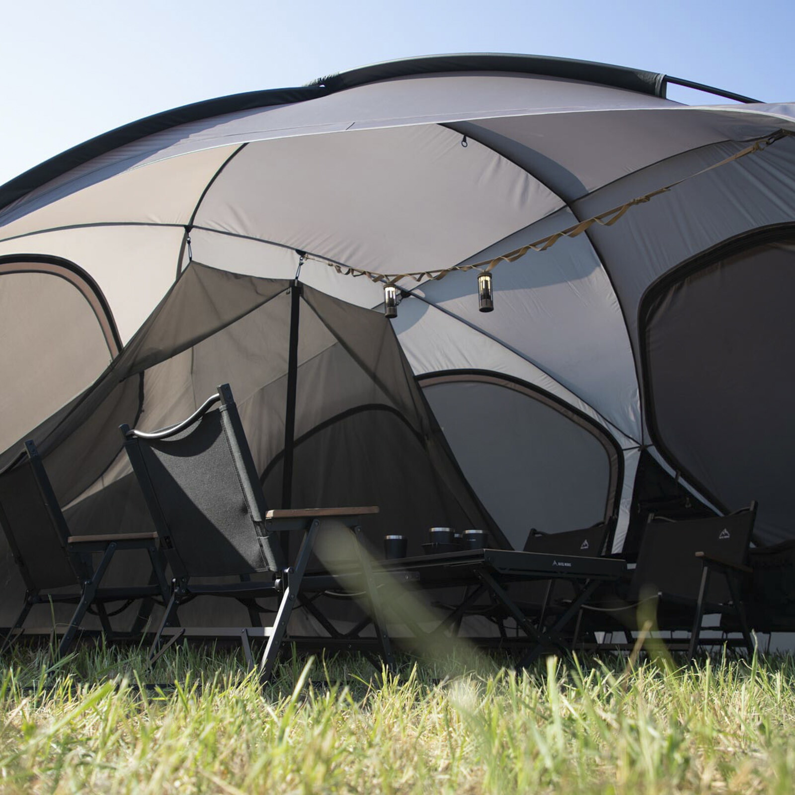 楽天市場】FELSEN -5th ANNIVERSARY LTD-(フェルセン 5周年記念