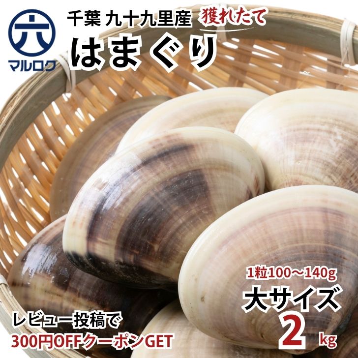 楽天市場】国産 九十九里 活はまぐり 特大サイズ 100～140g 2キロ