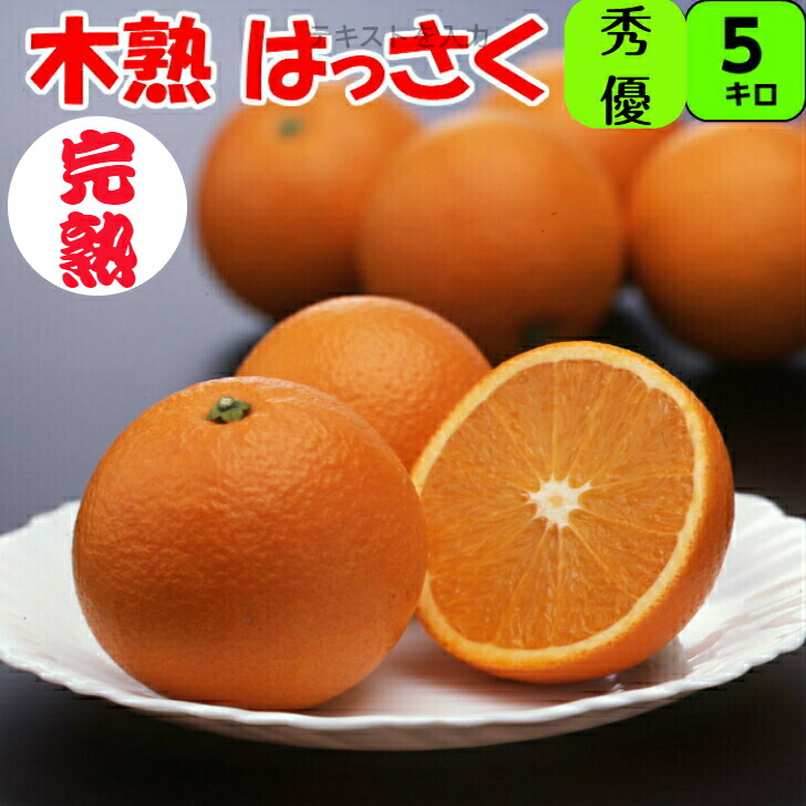 楽天市場】はっさく 八朔 【家庭用】 送料無料 5kg 2L/Lサイズ 混合の