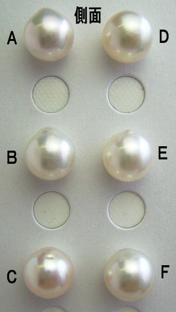 楽天市場】南洋白蝶真珠ルース【10mm-11mm】【リング用、ペンダント用