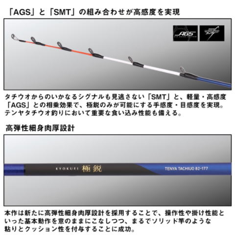 楽天市場】【ダイワ】25 極鋭 テンヤタチウオ 91H-161 【4550133545979
