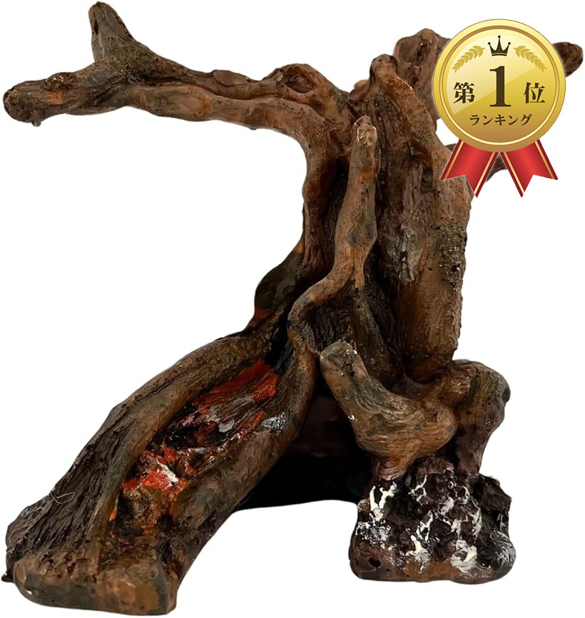 楽天市場】【楽天ランキング1位入賞】爬虫類 流木 登り木 テラリウム