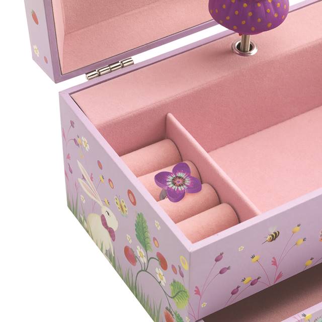 楽天市場】オルゴール 宝石箱 ジュエリーボックス ジュエリーケース