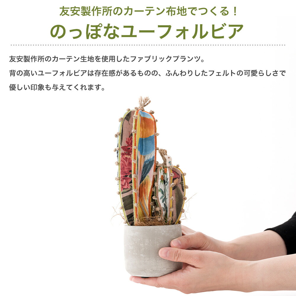 楽天市場】[最大3000円OFFクーポン配布中] ハンドクラフト キット 植物