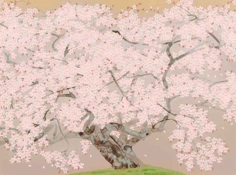 楽天市場】中島千波 春麗山桜 桜 絵画 和風 日本画家 シルクスクリーン