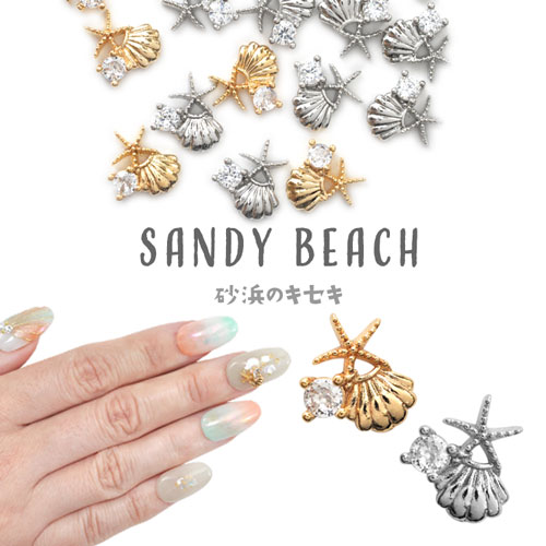 楽天市場】【全品半額coupon事前配布中】2個 貝 ヒトデ シェル パーツ