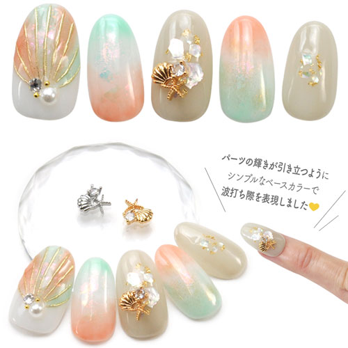 楽天市場】【全品半額coupon事前配布中】2個 貝 ヒトデ シェル パーツ