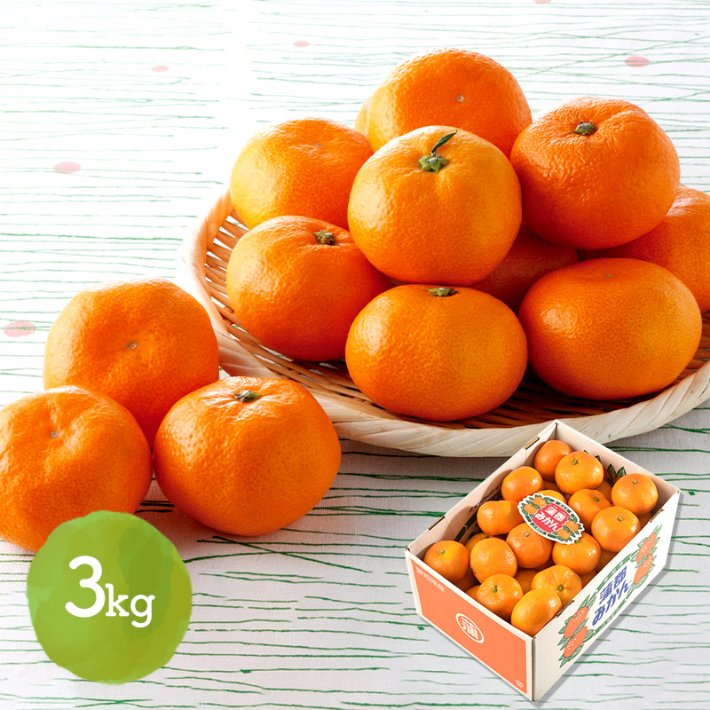 楽天市場】【2025/12/1〜12/15お届け】 愛知JA蒲郡市 蒲郡みかん 3kg