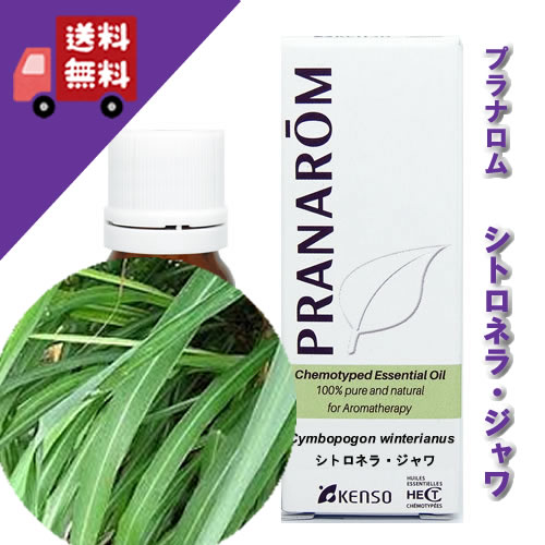 楽天市場】プラナロム ジャスミンの通販