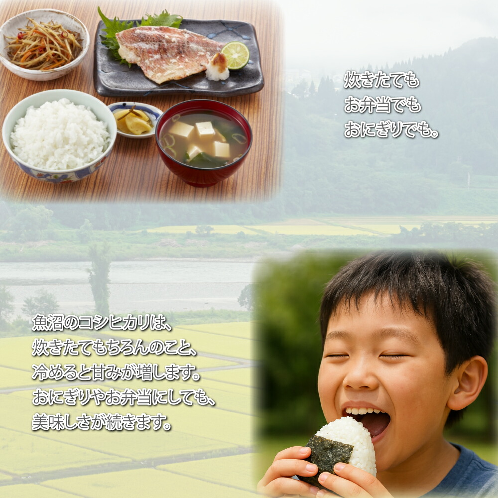 楽天市場 | NaturalPlusONE 自然を生活の中に - 当店は主にスキンケア