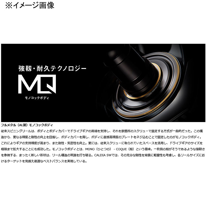 楽天市場】 ダイワ(Daiwa) 22 CALDIA(カルディア) SW 10000-P 00065172