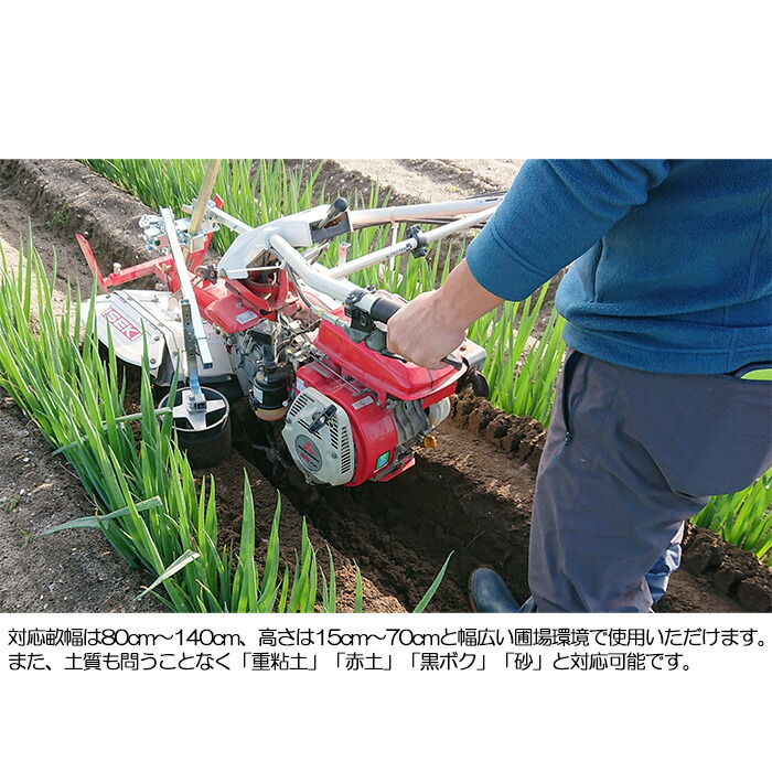 楽天市場】【メーカー直送】PREMIUMねぎ美人【軟白に差が出る