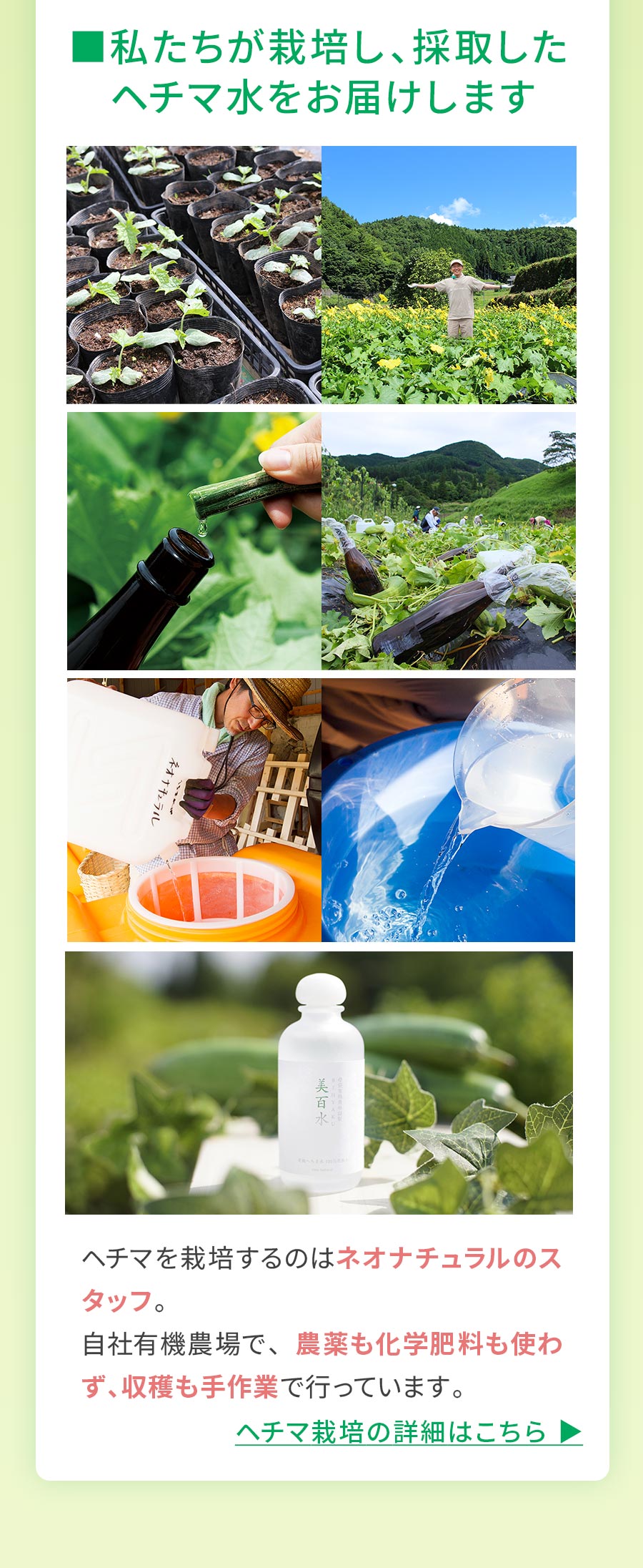 楽天市場】［無添加 化粧水］母袋有機農場 美百水 150mL スキンケア